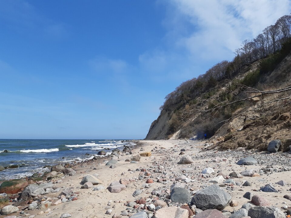 20220421_122220.jpg - torii99