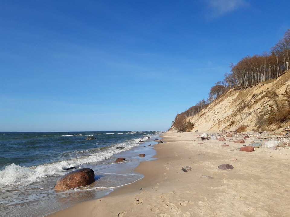 20220421_165142.jpg - torii99