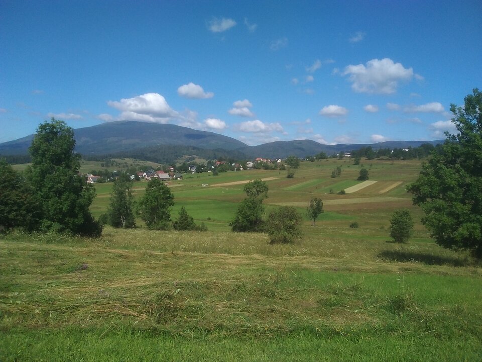 IMG_20200801_095312.jpg - 1234stas