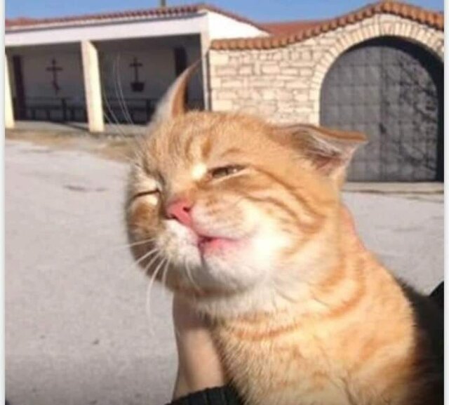 83827358_1033415640347141_8152039539183976448_n.jpg - Lifelover666