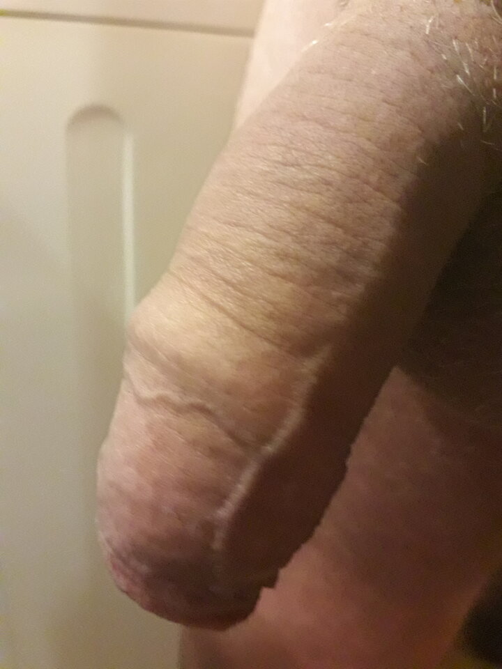 20210827_085554.jpg - rommic