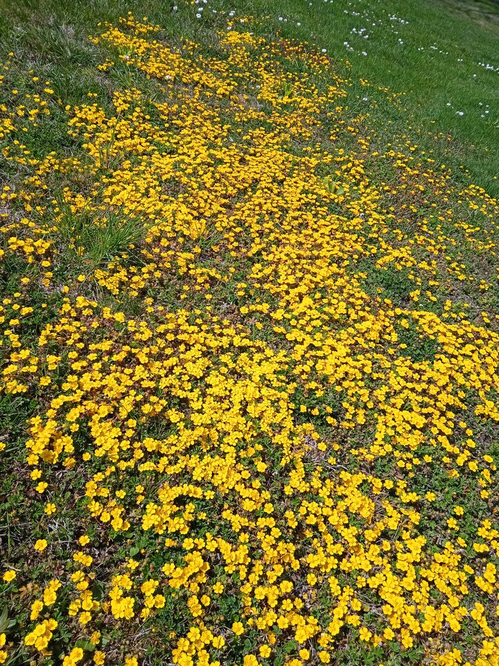 IMG_20220428_135801_1.jpg - 1Samwdomu