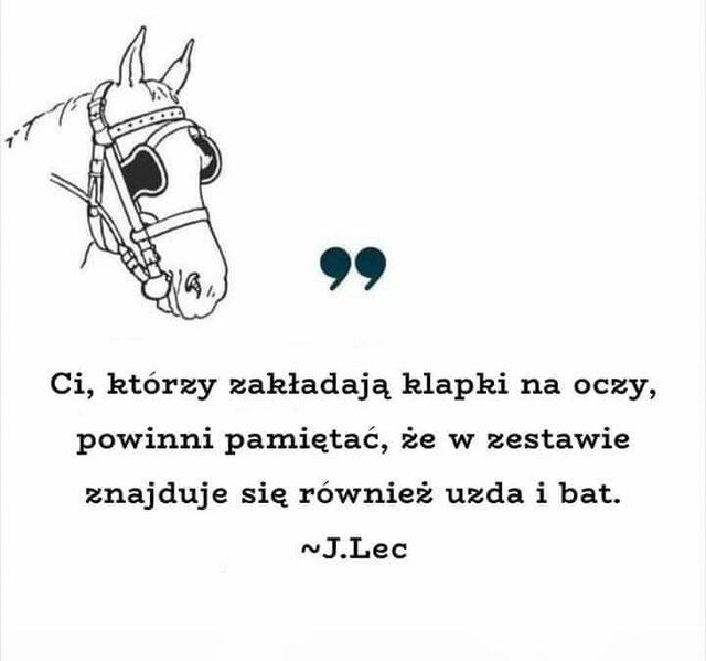 9703778747.jpg - Nicci