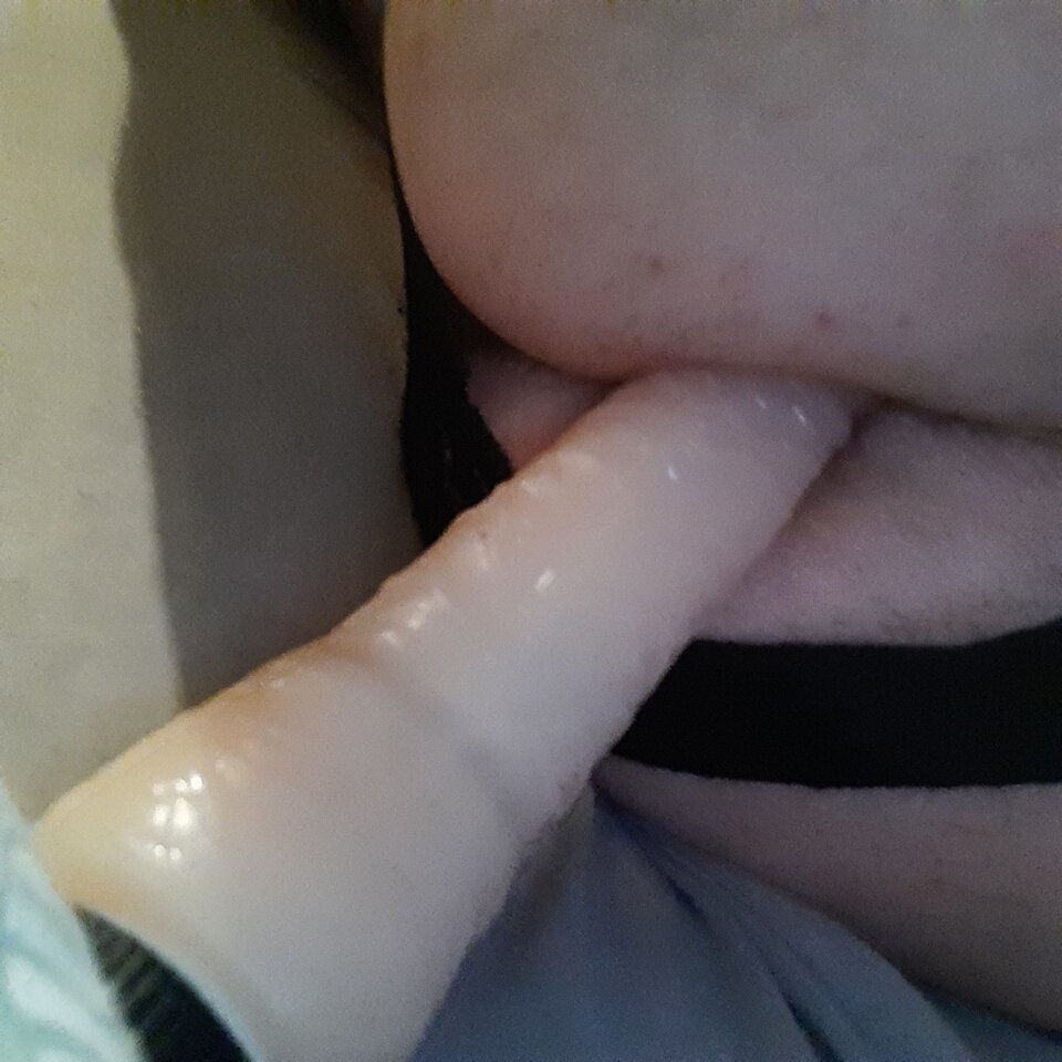 16513528042817328812283578657297.jpg - Palciusia