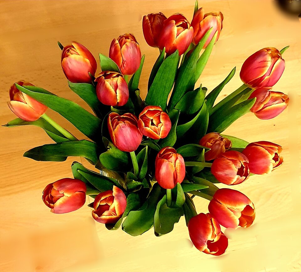 20220501_010513.jpg - Sh_e