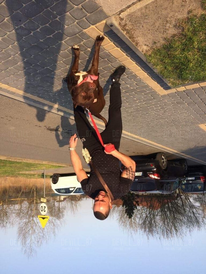 218E08F5-7F3E-4DBD-99A9-3D4D7B42C558.jpeg - Devill_87