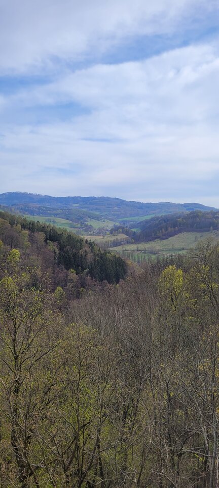 20220430_162746.jpg - RadekNaturist72
