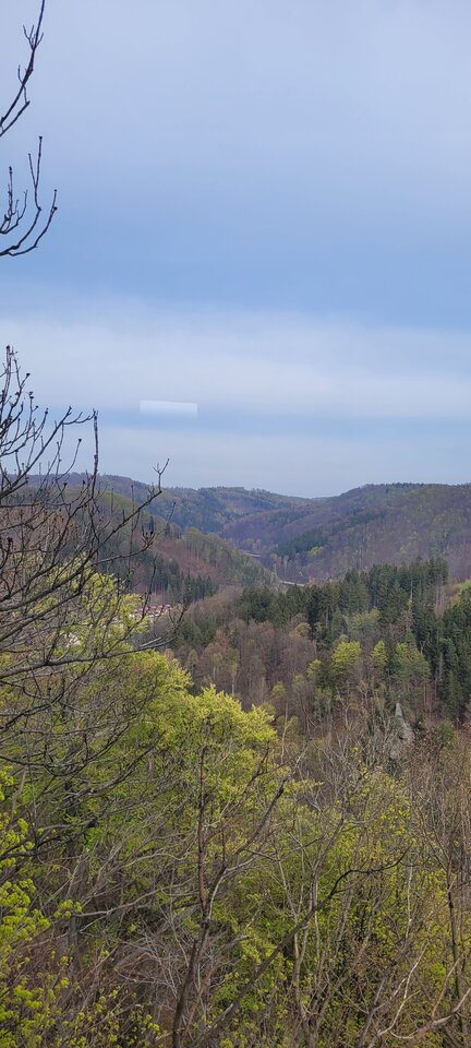 20220430_162734.jpg - RadekNaturist72