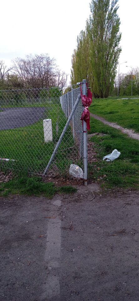 Dziś wjeżdżam na parking i widzę na płocie takie znalzisko - Maciek1182