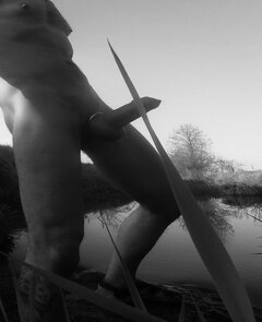 River Art Hard Cock.jpg