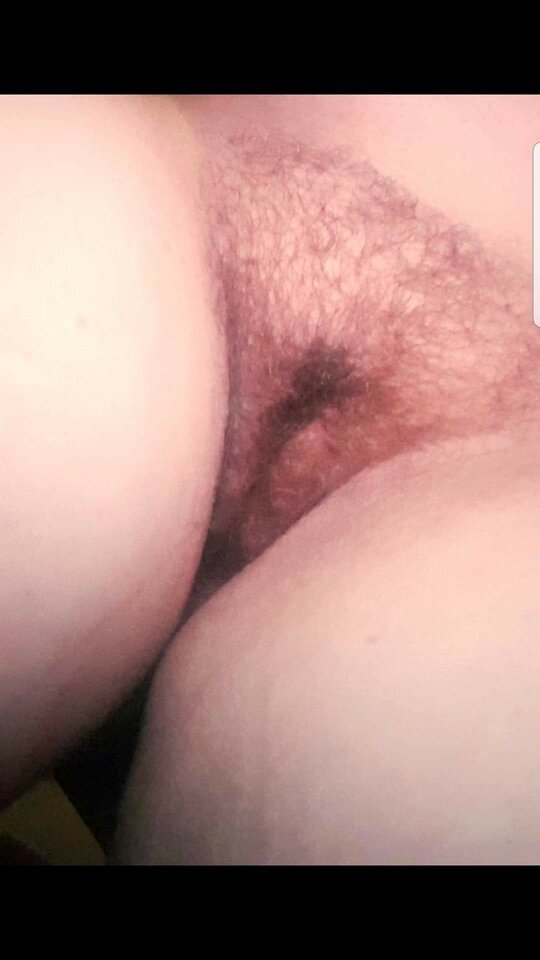 received_552102549757796.jpeg - ManewrowyOgonek