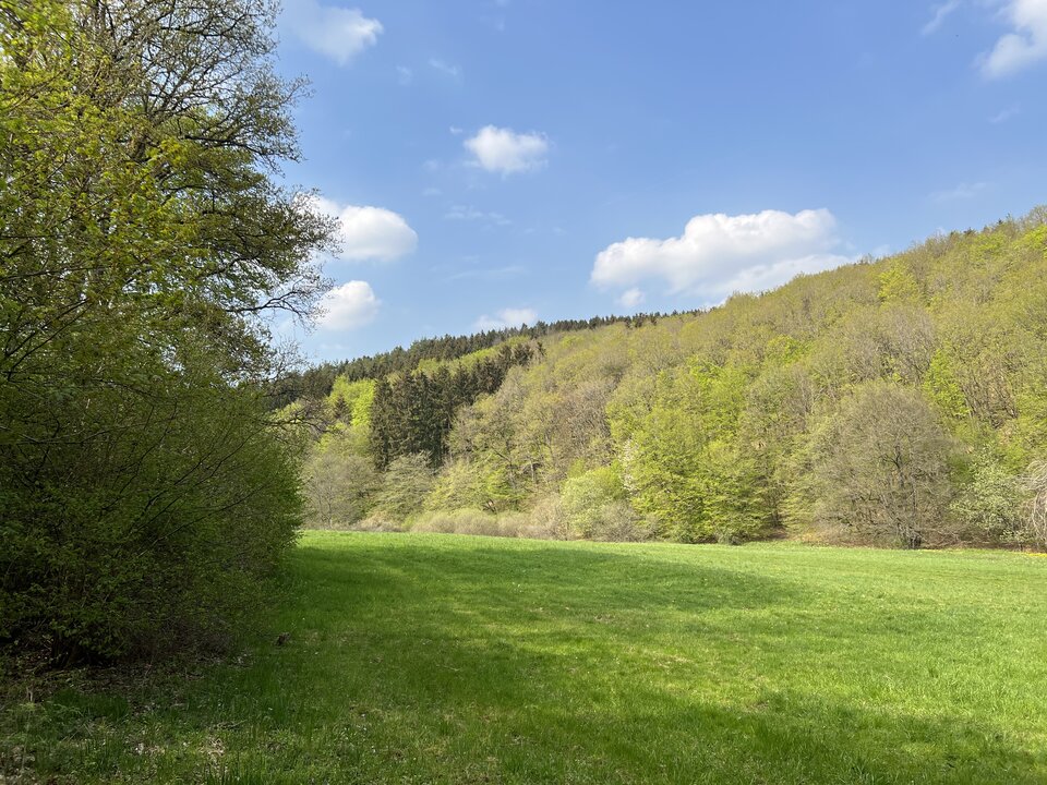 6A039EB9-7069-434B-8406-4054337029B2.jpeg - nrw670n