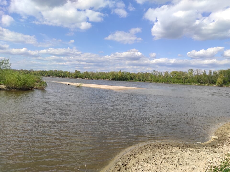 1651588777246.jpg - AndWawa1990