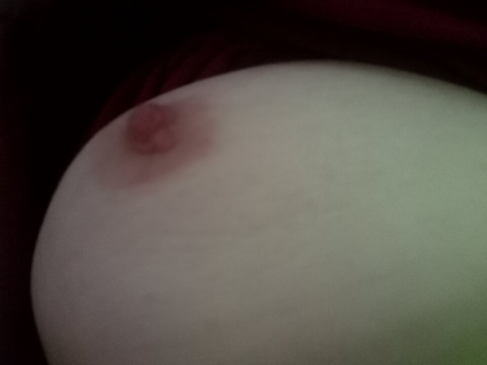 IMG_20220504_070954.jpg - Otolotohi