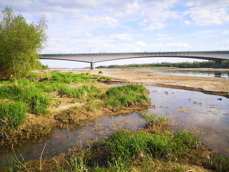 20220504.jpg - tiburons