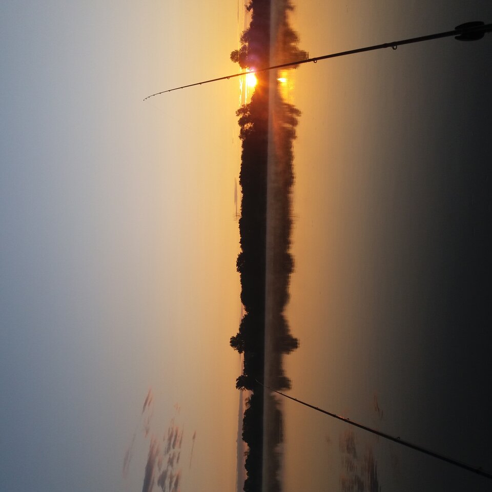 20210807_053956.jpg - Marineli73