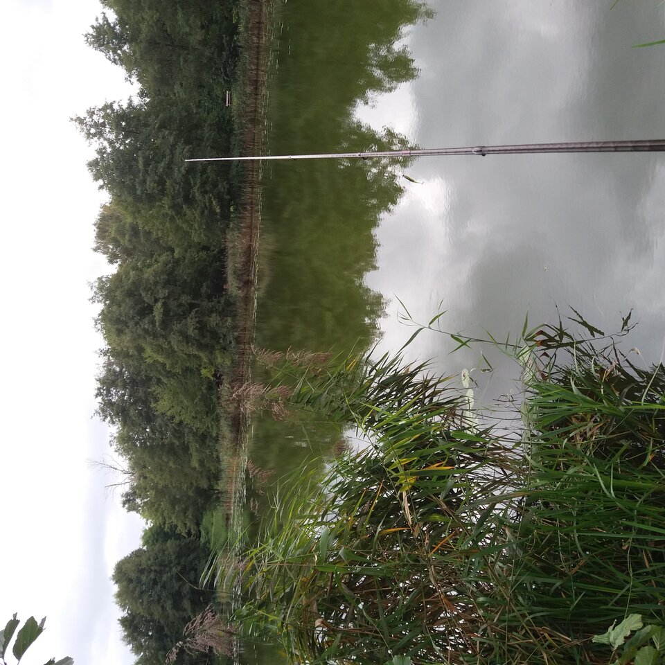 20210919_125006.jpg - Marineli73