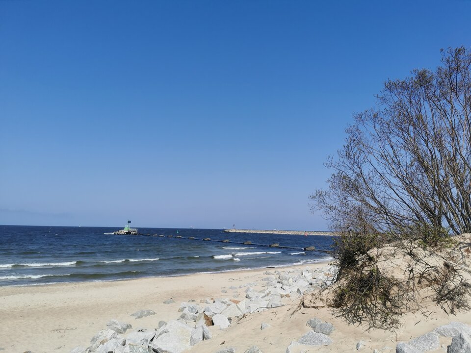 IMG_20220424_132821.jpg - Buziak81