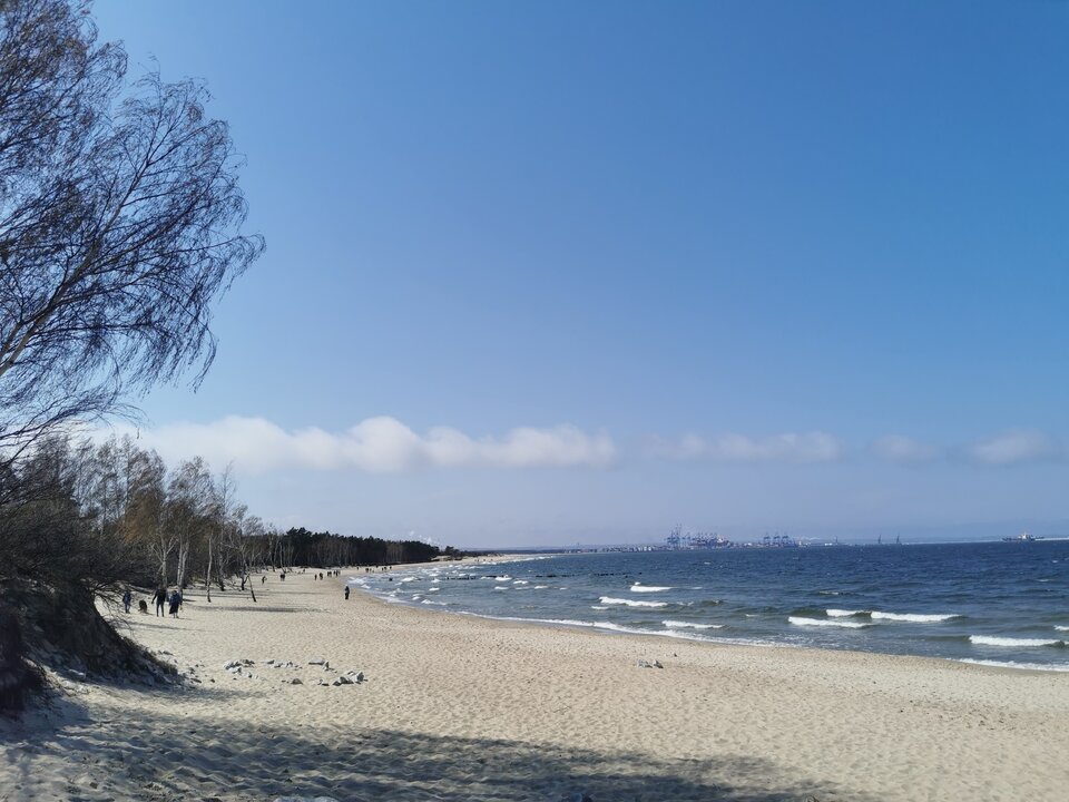 IMG_20220424_132850.jpg - Buziak81