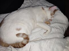 IMG_20220217_051525.jpg