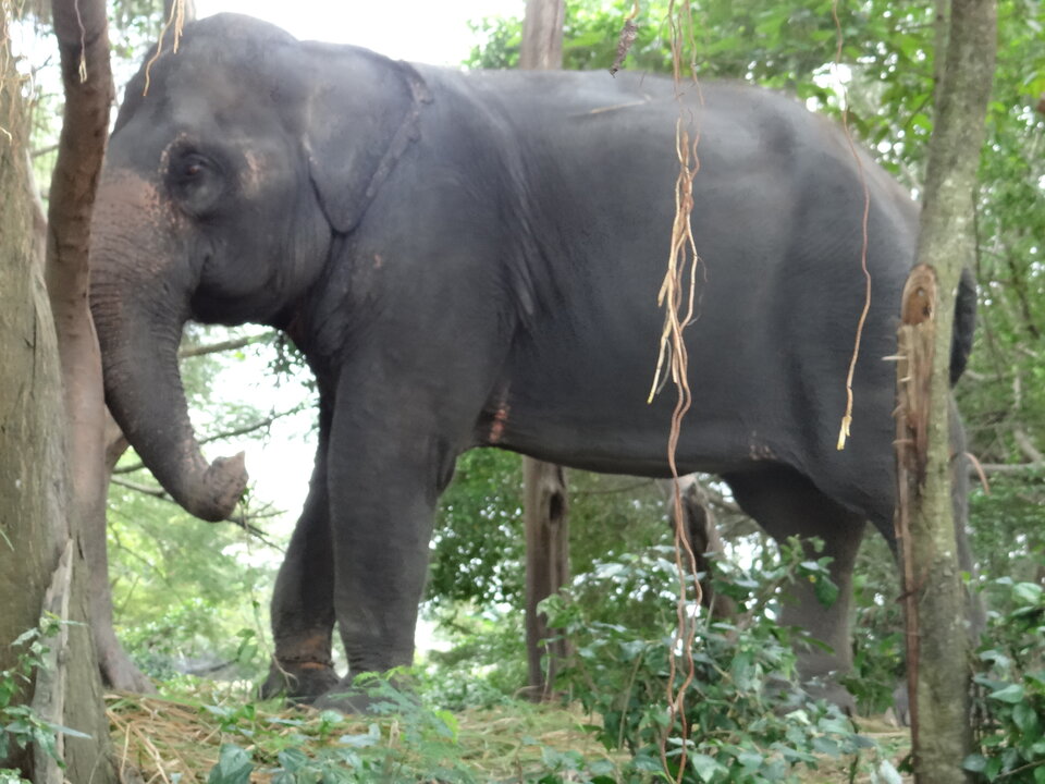 DSC01538.JPG - Lone_Ride