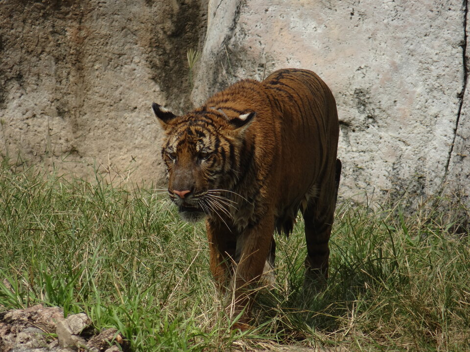 DSC01844.JPG - Lone_Ride