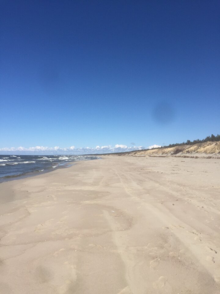 IMG_0212[1].JPG - ciekawy62