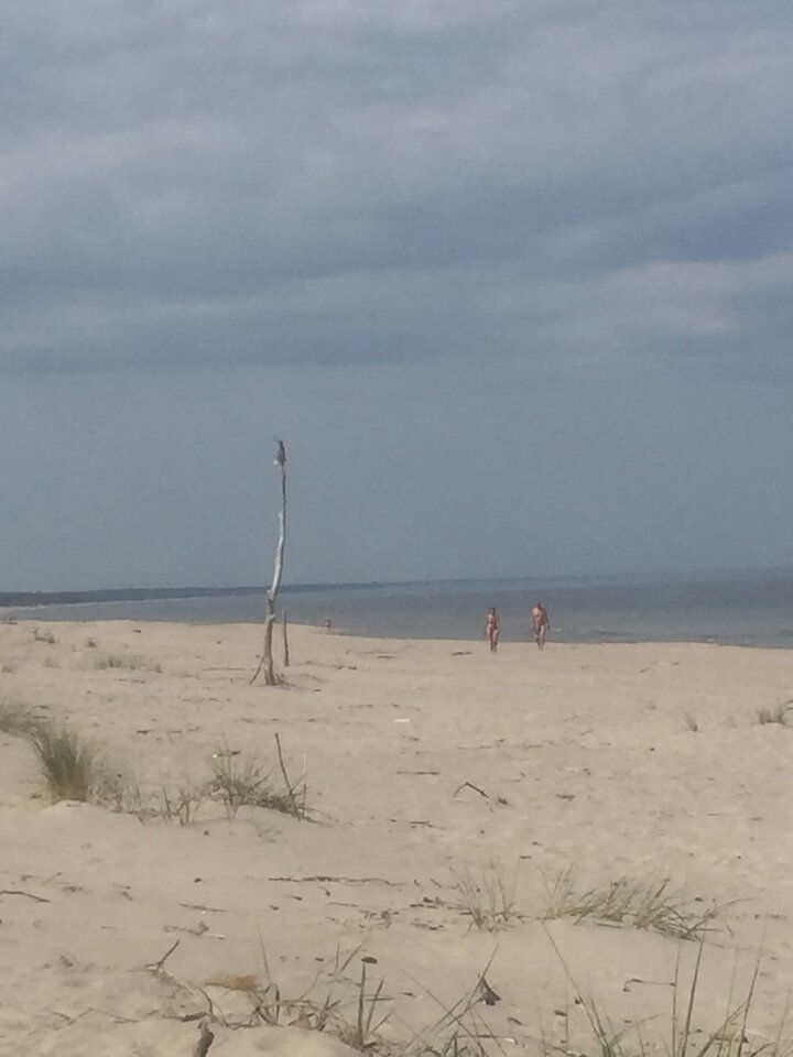 IMG_0336[1].JPG - ciekawy62