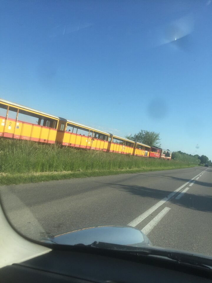 IMG_0334[1].JPG - ciekawy62