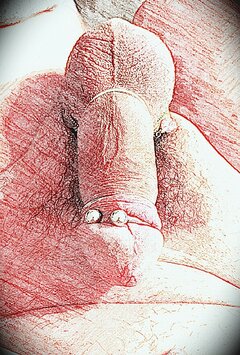 Sketch_1651906908524.jpg