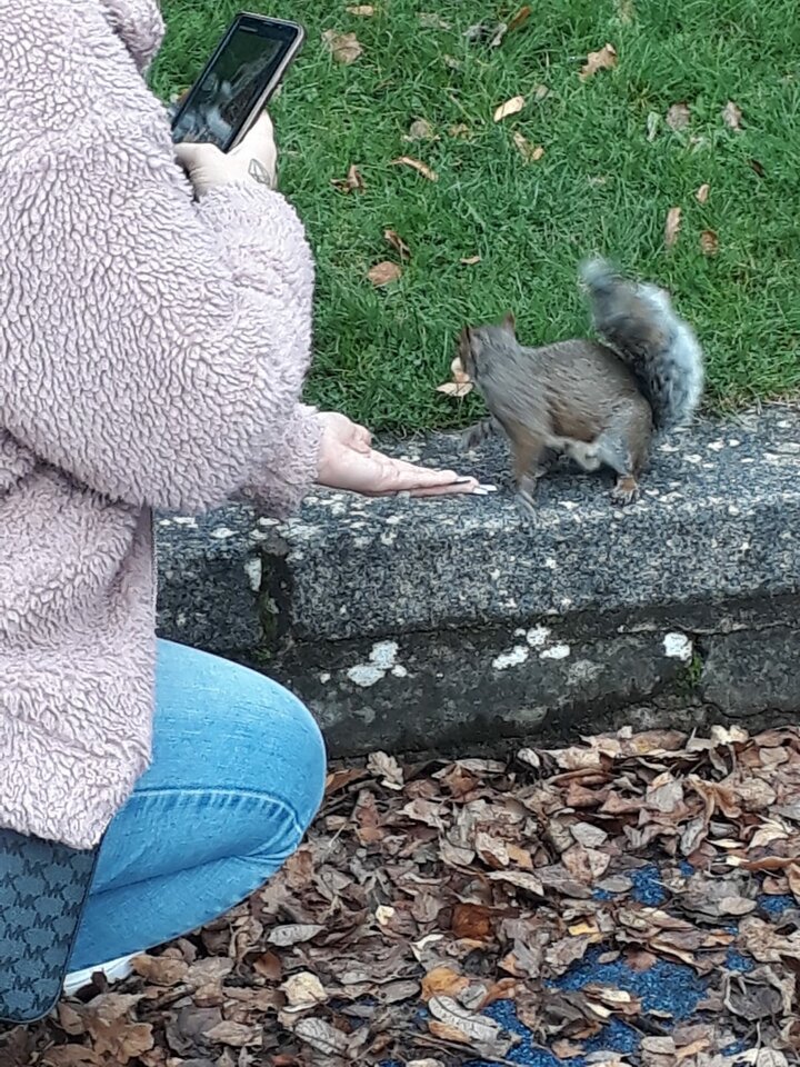 IMG-20191021-WA0000.jpg - ika13