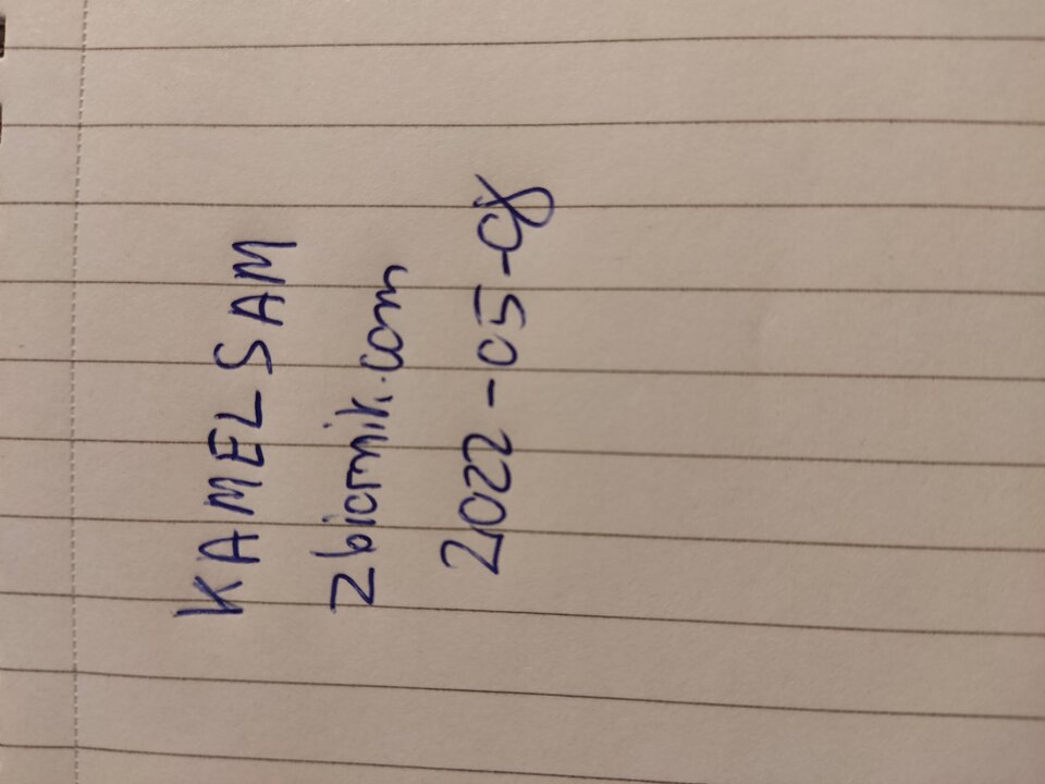 16519665201597339142125597012527.jpg - Kamelsam