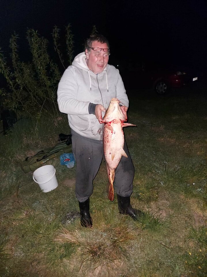 received_524783135929448.jpeg - DARDOA1