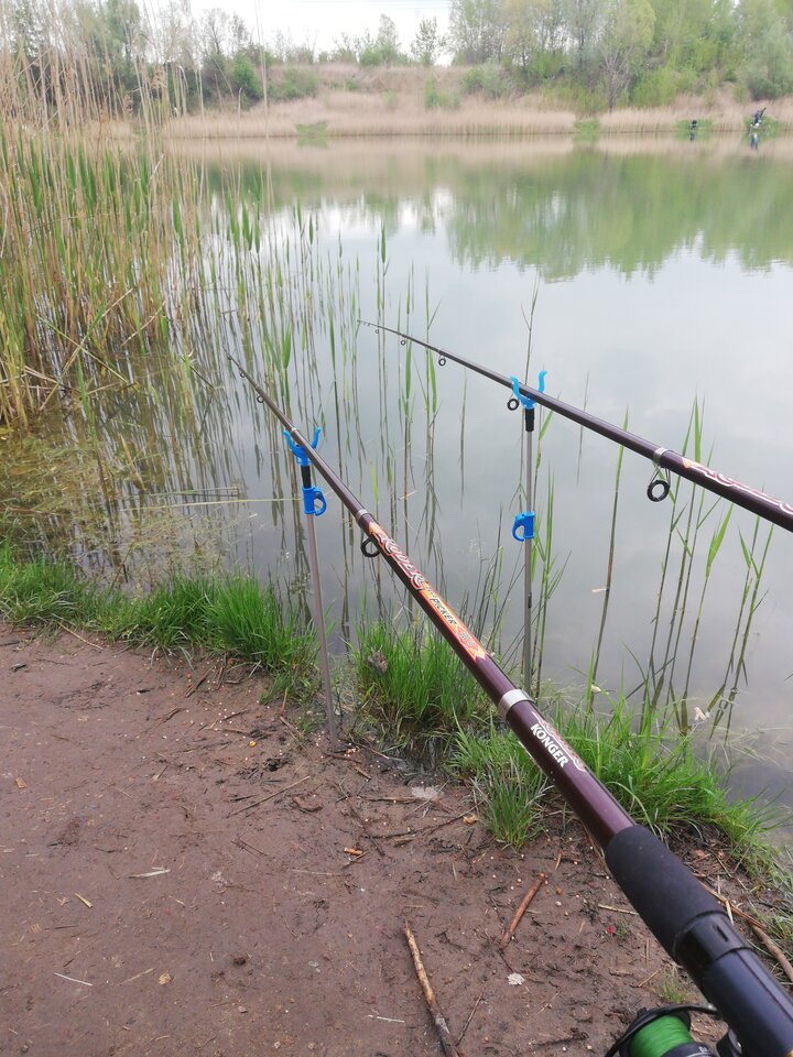 16519881190977833743758716801105.jpg - sylwanoo