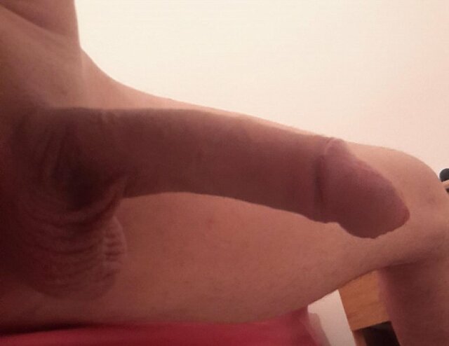 ef7d87cab4589ade2c681dd769cfde11.jpg - Pawciomaz