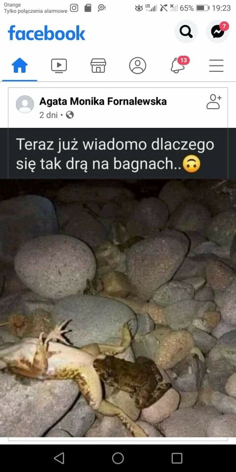 received_1037179356927408.jpeg - Qba2184