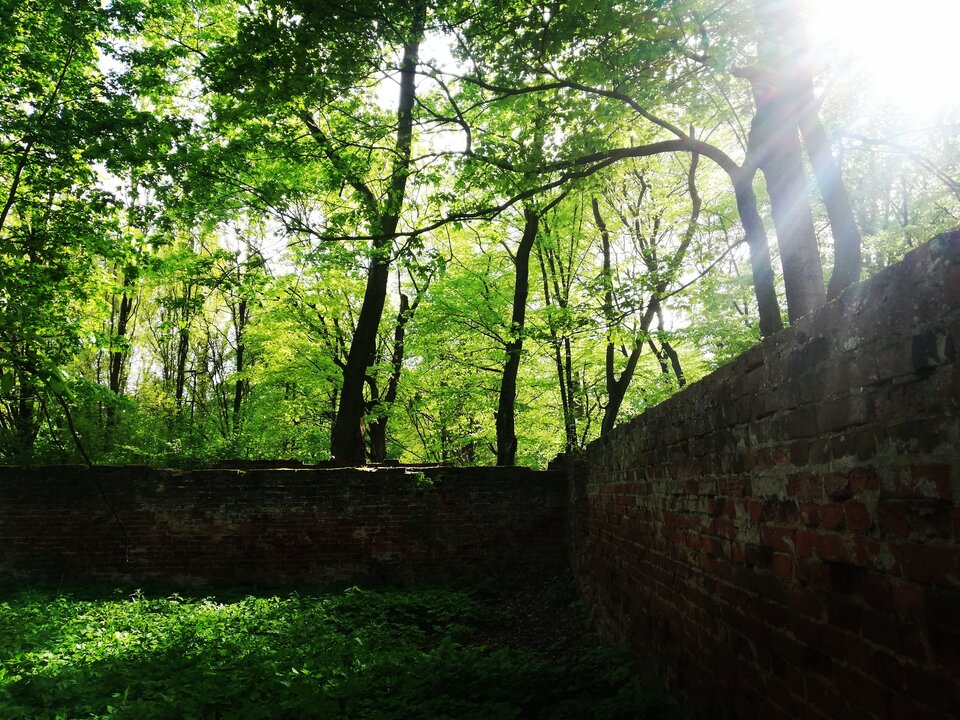 IMG_20220508_174358.jpg - Niekontatybilny