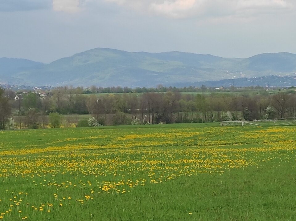 IMG_20220508_161220.jpg - Mr84