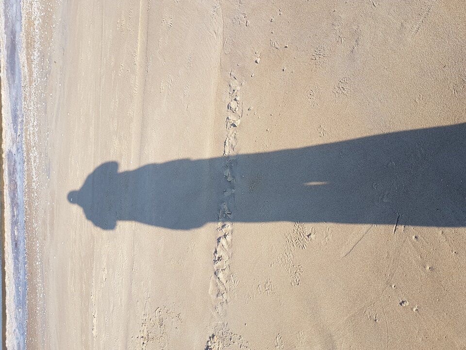 20180208_114323.jpg - Guzman5