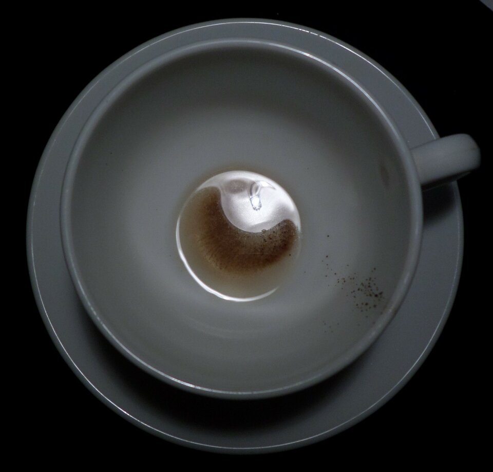 SAM_0992.JPG - meesser