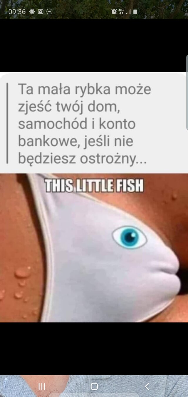 grzesznydaro