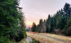 IMG_20220510_054009.jpg