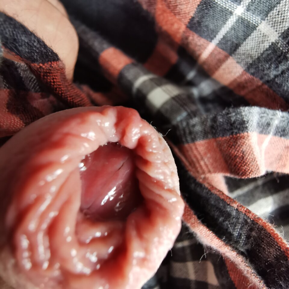 IMG_20220510_091212.jpg - Zi0001