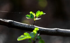 IMG_29192.jpg