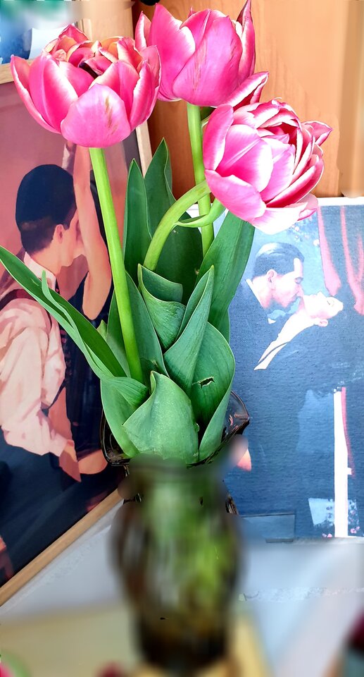 20220510_154626.jpg - Sh_e