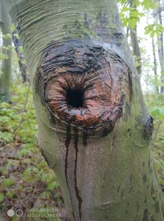 Screenshot_2022-05-11-07-10-31-304_com.google.android.apps.photo