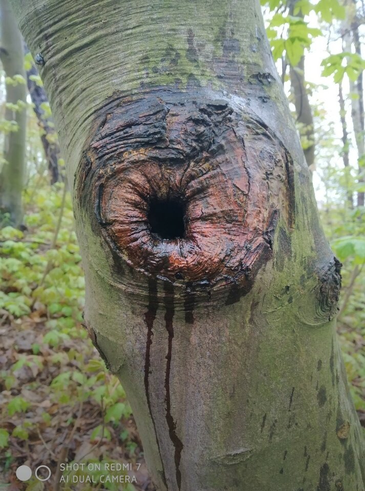 Screenshot_2022-05-11-07-10-31-304_com.google.android.apps.photo - 3szostky