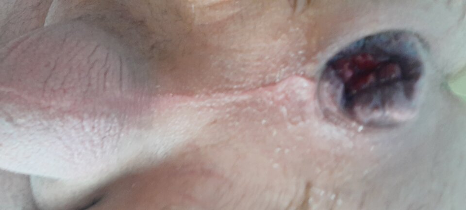 16523467196077391200668749174693.jpg - rafal1410