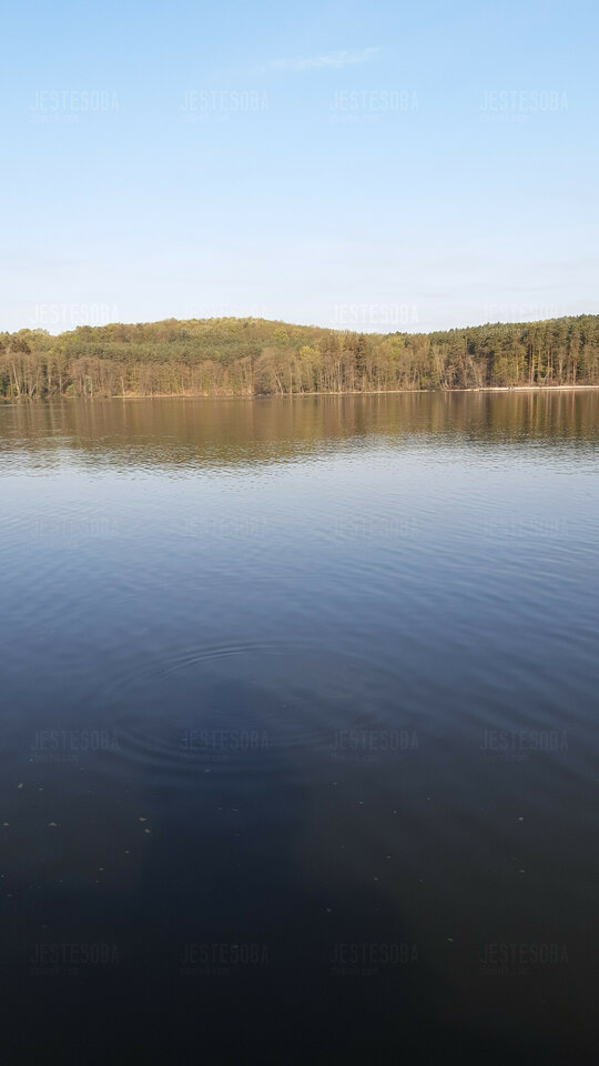 IMG-20220501-WA0004.jpeg - Jestesoba