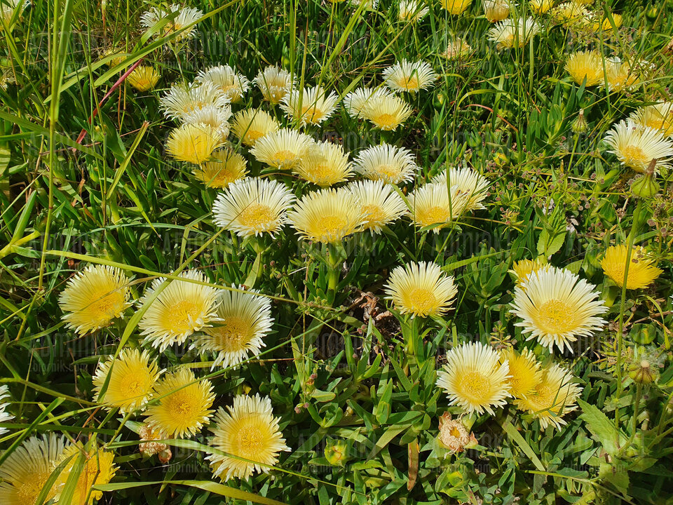 20220513_170307.jpg - Adminki